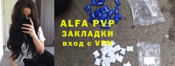 твердый Пересвет