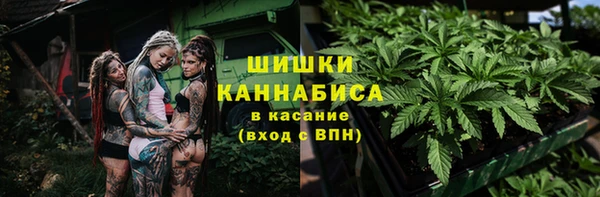 твердый Пересвет