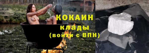 твердый Пересвет